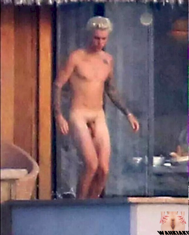 Justin biebers dick